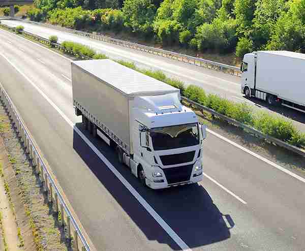 Trasporto di legnami e pietre di Zini Dino.