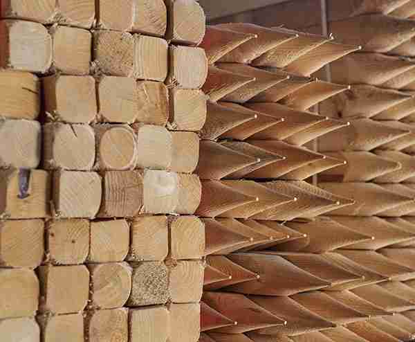 Pali di legno appuntiti e smussati.