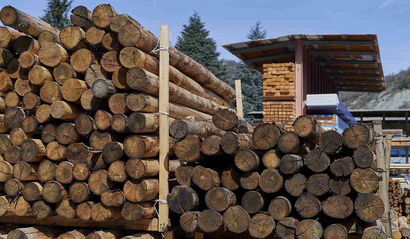 Deposito di materiali legnosi di Zini Dino.