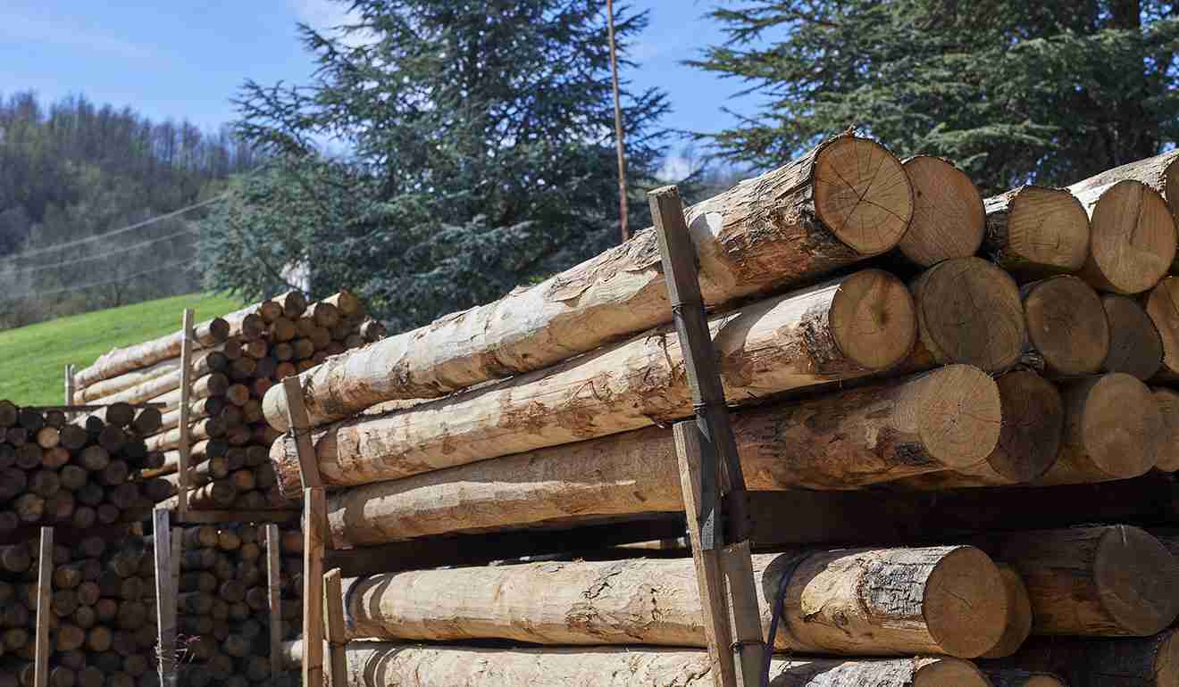 Pali di castagno accatastati.