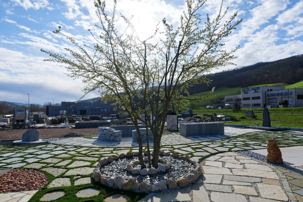 Aiuola decorativa in ciottoli per contenimento di un albero